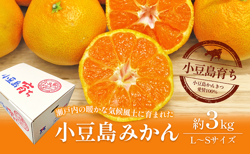 【 小豆島 】 小豆島みかん 約3kg 柑橘 果物 フルーツ 爽やか ビタミンC ビタミン くだもの 国産 香川 香川県 土庄 土庄町