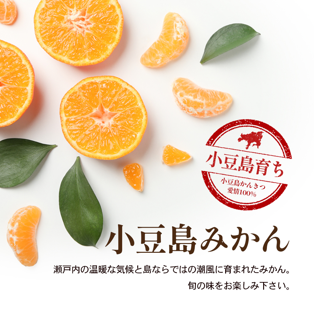 【 小豆島 】 小豆島みかん 約3kg 柑橘 果物 フルーツ 爽やか ビタミンC ビタミン くだもの 国産 香川 香川県 土庄 土庄町