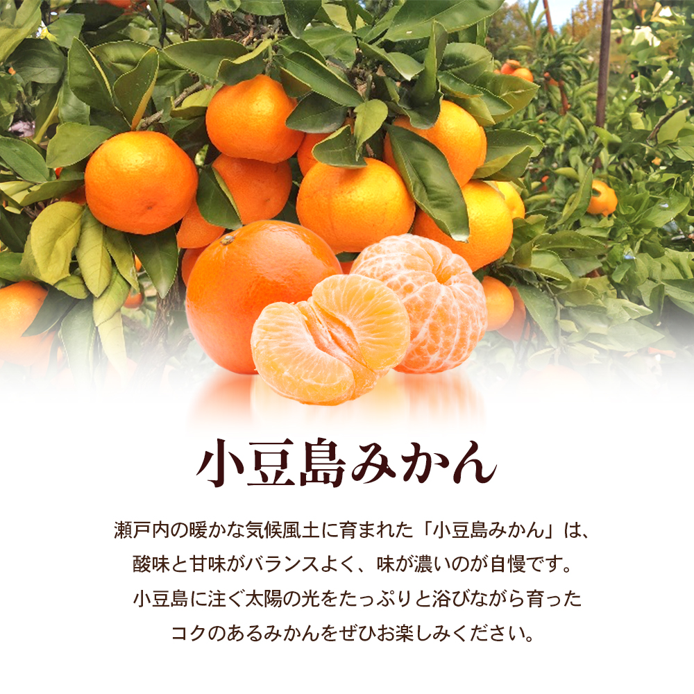 【 小豆島 】 小豆島みかん 約3kg 柑橘 果物 フルーツ 爽やか ビタミンC ビタミン くだもの 国産 香川 香川県 土庄 土庄町