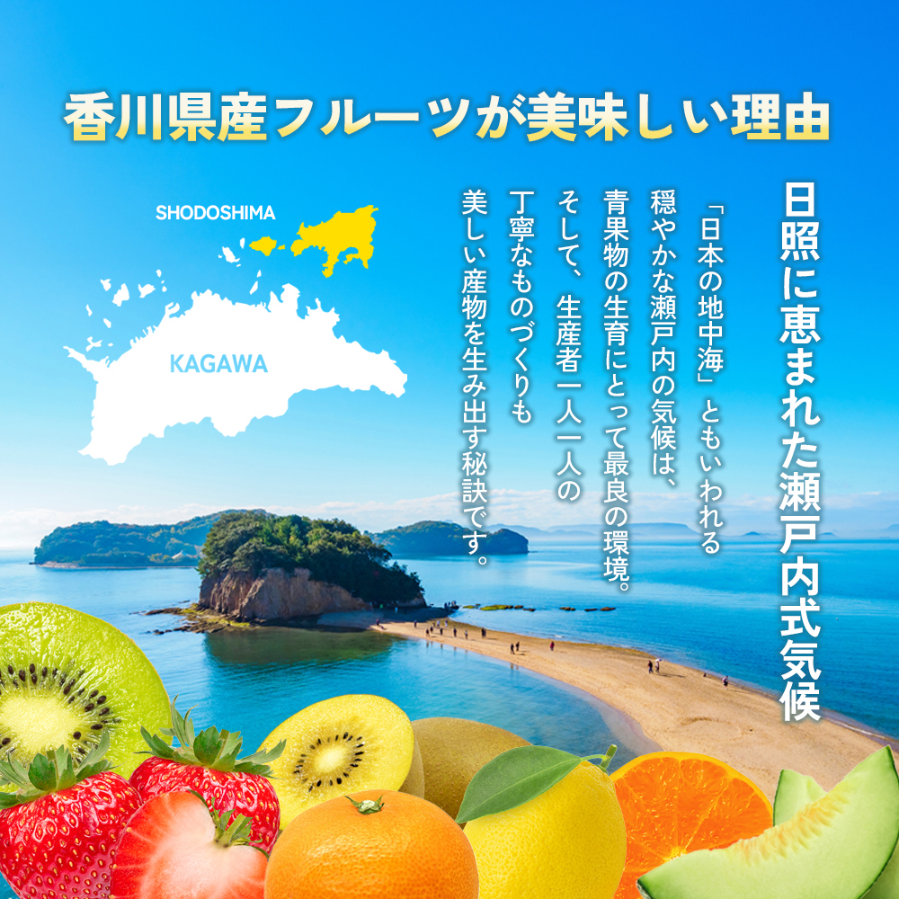 【 小豆島 】 小豆島みかん 約3kg 柑橘 果物 フルーツ 爽やか ビタミンC ビタミン くだもの 国産 香川 香川県 土庄 土庄町