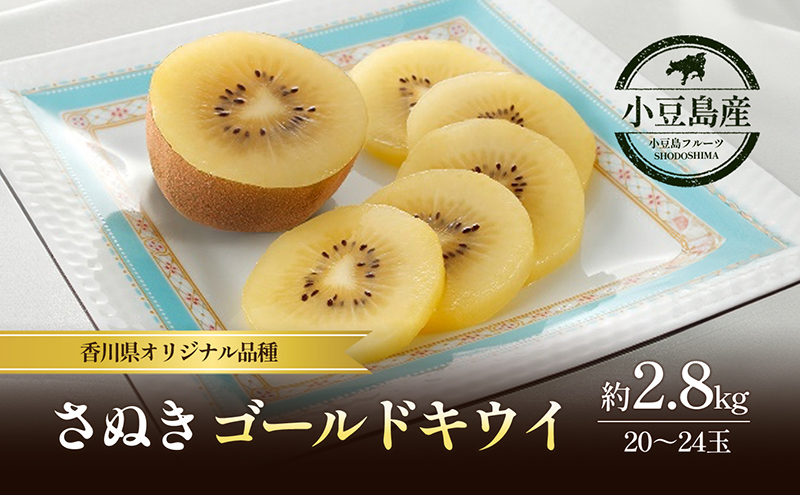 【香川県土庄町】さぬきゴールドキウイ 約2.8kg