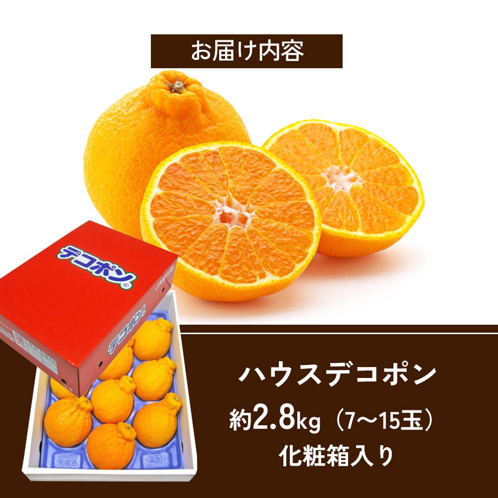 【 小豆島 】 ハウスデコポン 約2.8kg 化粧箱 柑橘 デコポン 不知火 果物 フルーツ ハウス くだもの 国産 香川 香川県 土庄 土庄町 
