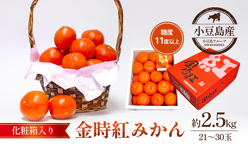【香川県土庄町】金時紅みかん 約2.5kg化粧箱