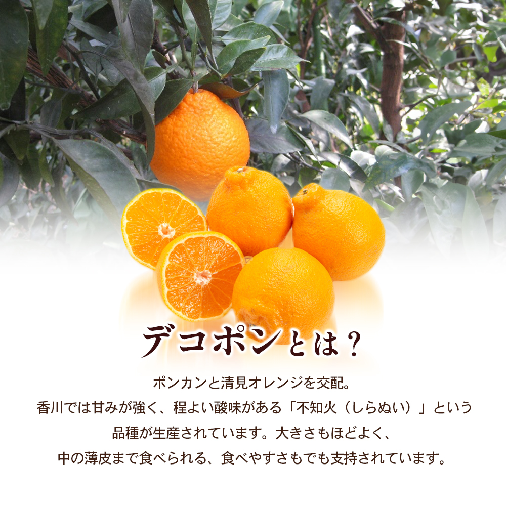 柑橘(みかん・デコポンなど)コメント用 sd1_b584a817f0077d2e8fbce02bf4