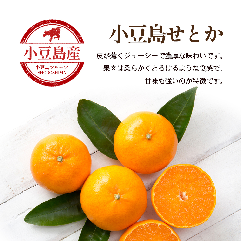 【 小豆島 】小豆島せとか 約2.8kg 柑橘 せとか 瀬戸香 果物 フルーツ 国産 くだもの ジューシー フレッシュ 国産 香川 香川県 土庄 土庄町