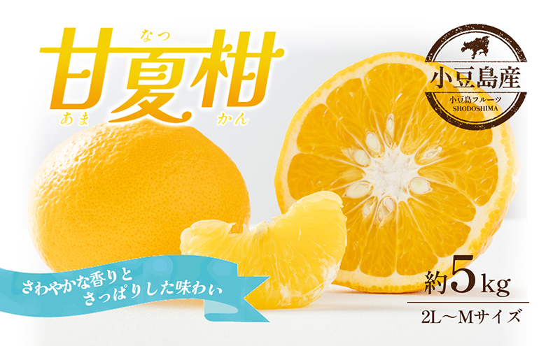 【 小豆島 】 甘夏柑 約5kg 柑橘 あまなつかん 果物 フルーツ 爽やか さっぱり くだもの 国産 香川 香川県 土庄 土庄町 