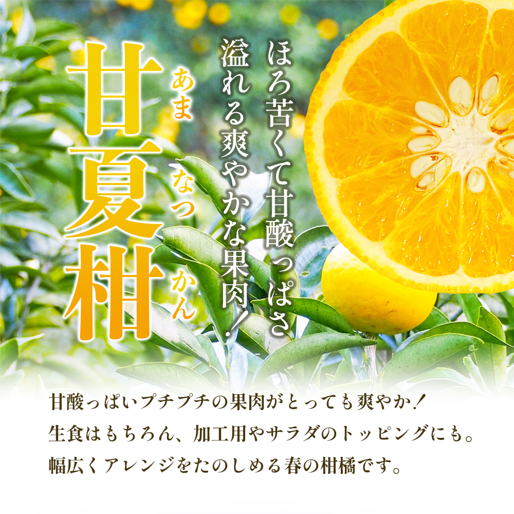 【 小豆島 】 甘夏柑 約5kg 柑橘 あまなつかん 果物 フルーツ 爽やか さっぱり くだもの 国産 香川 香川県 土庄 土庄町 