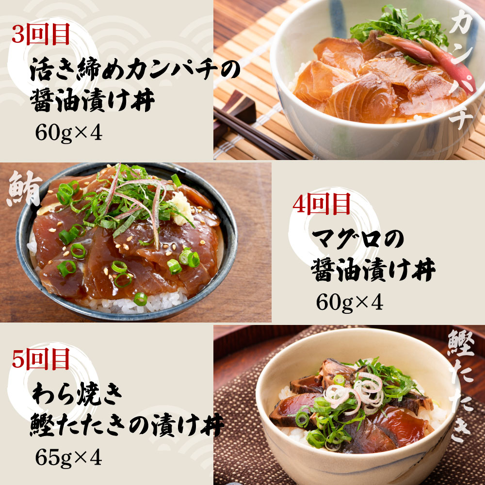 【5回定期便】土佐の海鮮丼セット（ブリ・タイ・カンパチ・マグロ・カツオ）各4Pずつ 漬け丼の素 鰤 ぶり 鯛 たい 鮪 まぐろ 鰹 かつお かんぱち 新鮮 魚 おかず おつまみ 小分け