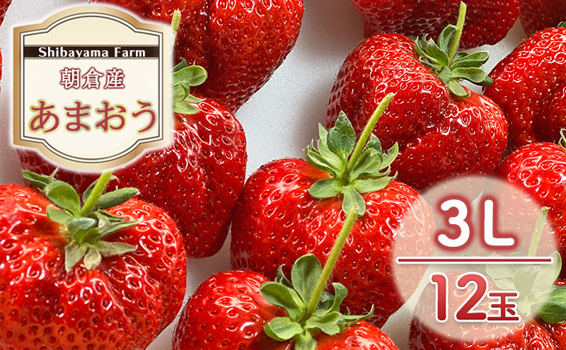 【福岡県朝倉市】いちご 朝倉市産 あまおう 3L 12玉 イチゴ 苺 果物 デザート <Shibayama Farm> ※配送不可:離島