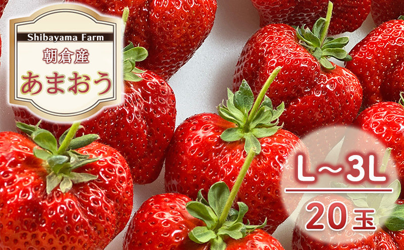 【福岡県朝倉市】いちご 朝倉市産 あまおう L〜3L 20玉 イチゴ 苺 果物 デザート <Shibayama Farm> ※配送不可:離島
