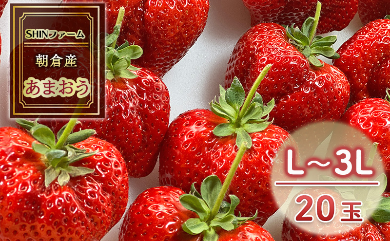 yqsz qsY ܂ L`3L 20 C`S  ʕ fU[g SHINt@[ zsF