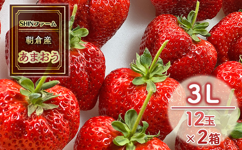 いちご 朝倉市産 あまおう 3L 12玉×2箱 イチゴ 苺 果物 デザート ＜SHINファーム＞ ※配送不可：離島 