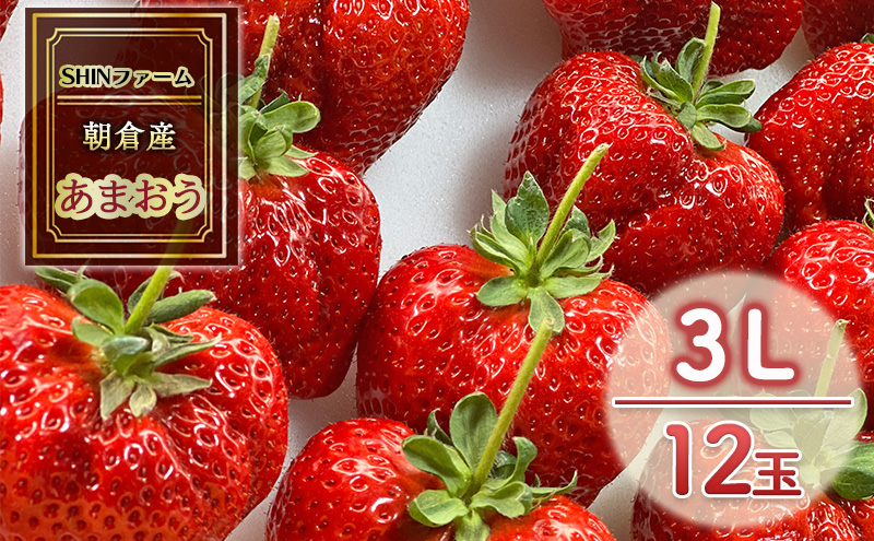 yqsz qsY ܂ 3L 12 C`S  ʕ fU[g SHINt@[ zsF