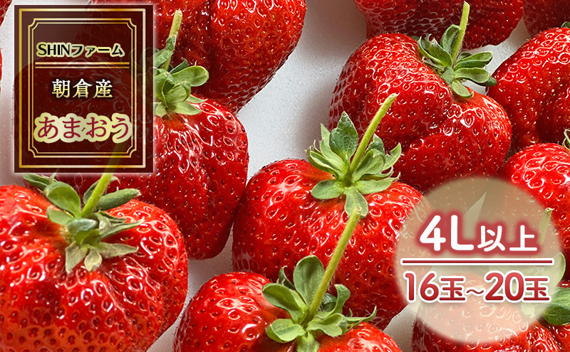 いちご 朝倉市産 あまおう 4L以上 16玉～20玉 イチゴ 苺 果物 デザート ＜SHINファーム＞ ※配送不可：離島 