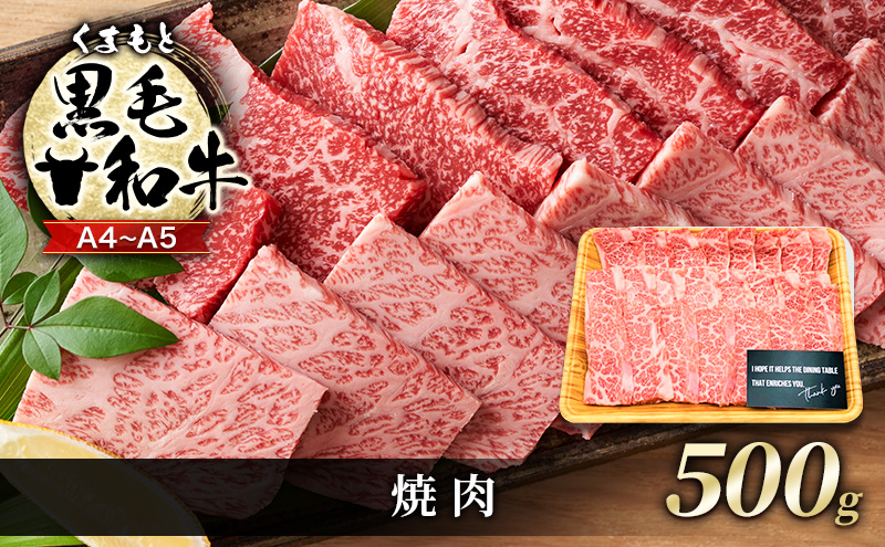 【熊本県錦町】牛肉 A4〜A5 くまもと 黒毛和牛 焼肉 500g 焼き肉 肉 お肉 ※配送不可:離島