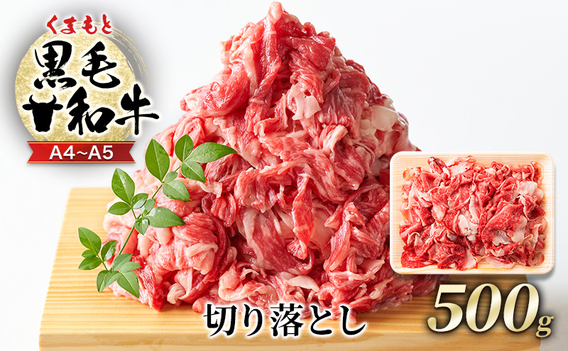 【熊本県錦町】牛肉 A4〜A5 くまもと 黒毛和牛 切り落とし 500g 肉 お肉 ※配送不可:離島