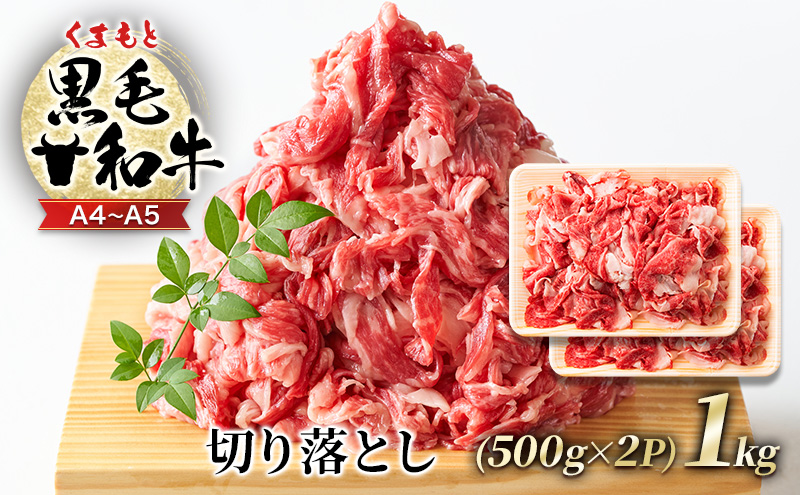 yF{ђz A4`A5 ܂ јa ؂藎Ƃ 1kg (500g×2p)   zsF