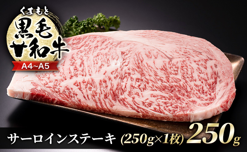 【熊本県錦町】牛肉 A4〜A5 くまもと 黒毛和牛 サーロイン ステーキ 250g (250g×1枚) 肉 お肉 ※配送不可:離島