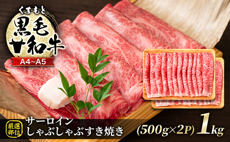 訳あり 牛肉 A4～A5 くまもと 黒毛和牛 赤身 霜降り