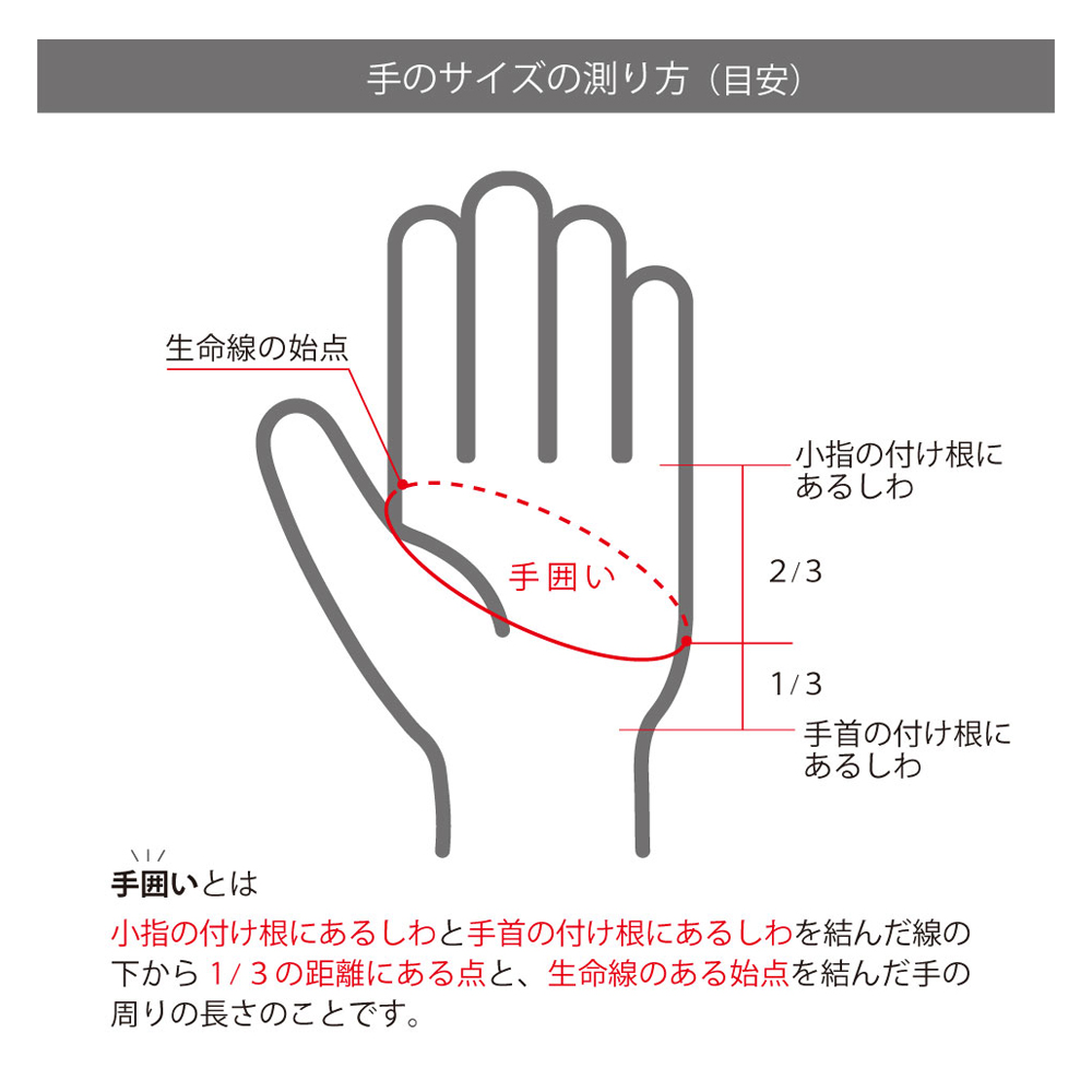 ゴルフ用手袋（レディース両手用）H-ONE Graphic (エイチ-ワン