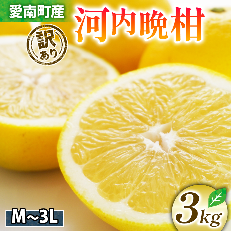 【愛媛県愛南町】【 2026年 先行予約 】 訳あり 河内晩柑 3kg サイズミックス お試し 家庭用 樹齢 20年 以上 古木 和製 グレープフルーツ 愛南ゴールド 直送  フルーツ 人気 柑橘 爽やか 甘み ジューシー 果汁 旬の果物 くだもの みかん サイズ不揃い 産地直送 農園直送 春 味