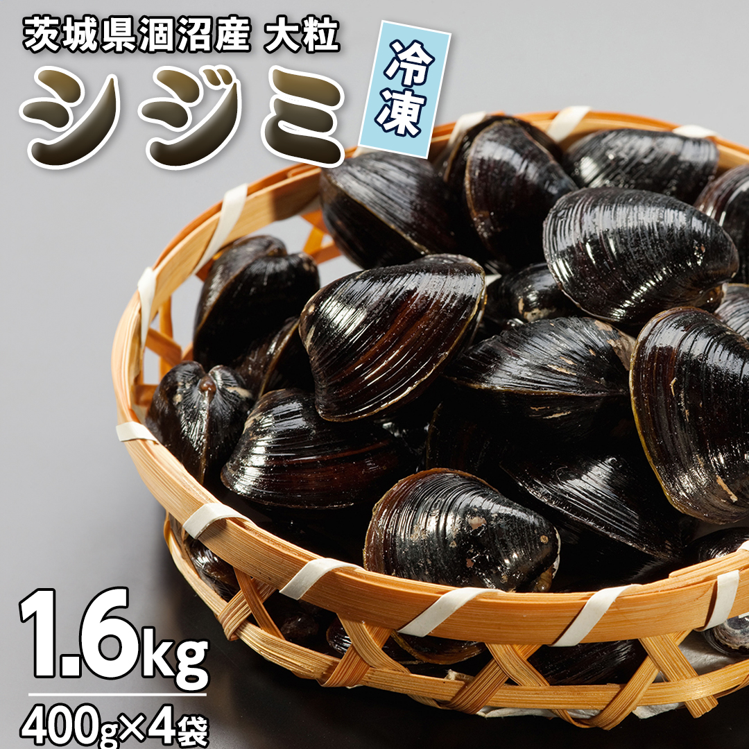 しじみ 茨城県 涸沼産 大粒 冷凍 シジミ 1.6kg（400g×4袋） ヤマトシジミ