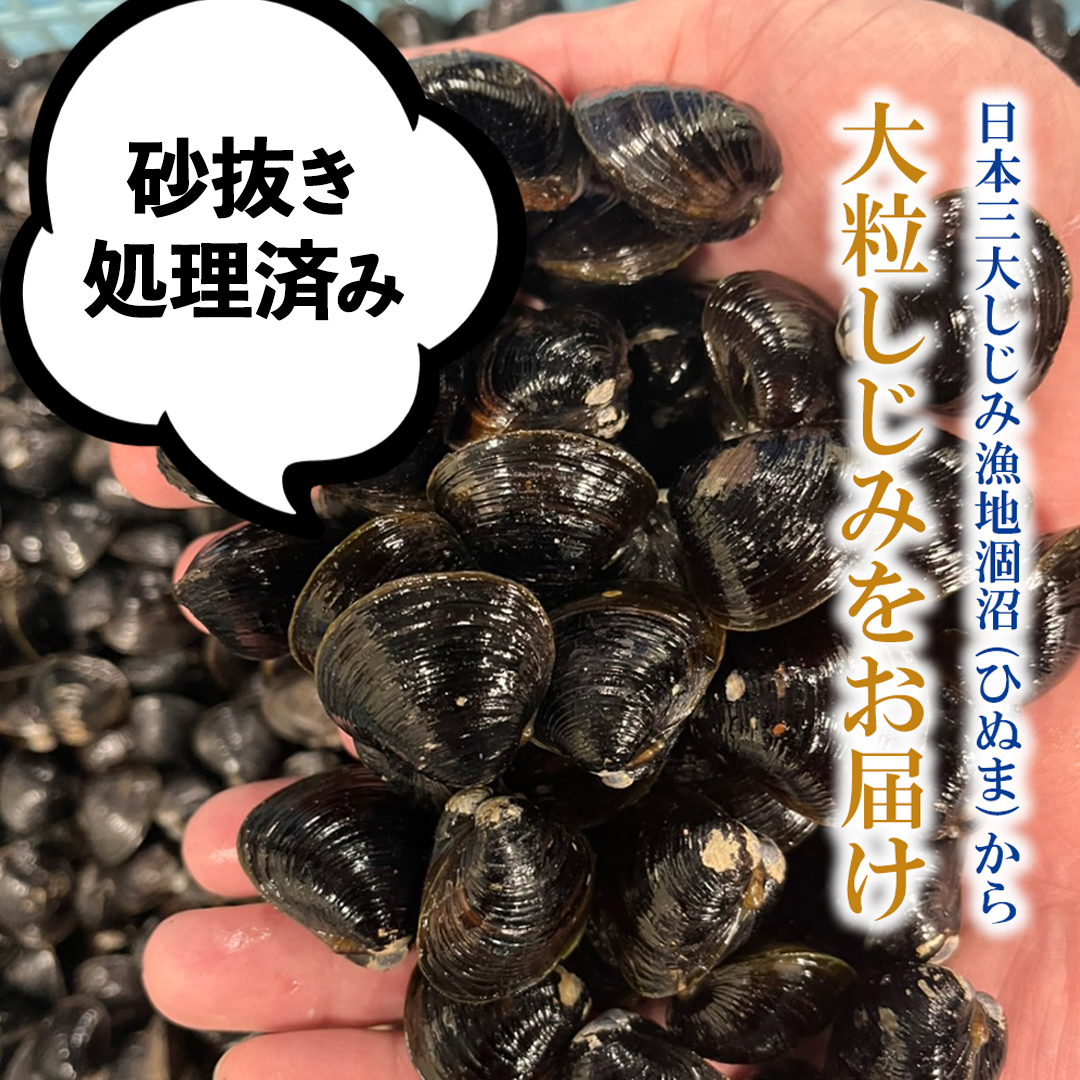 茨城県 涸沼産 大粒 冷凍 シジミ 1.6kg（400g×4袋） ヤマトシジミ