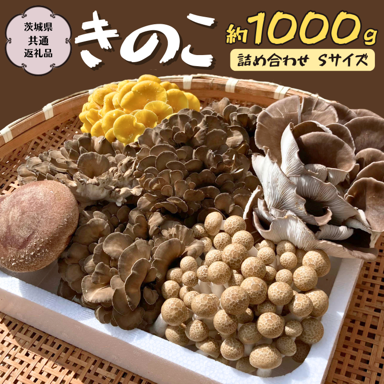 つきのこ きのこ の 詰め合わせ Sサイズ 約1000g 【茨城県共通返礼品 城里町