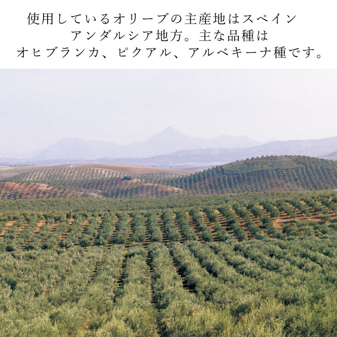 エキストラバージン オリーブオイル 大容量 5L ×2本  瀬戸内市 