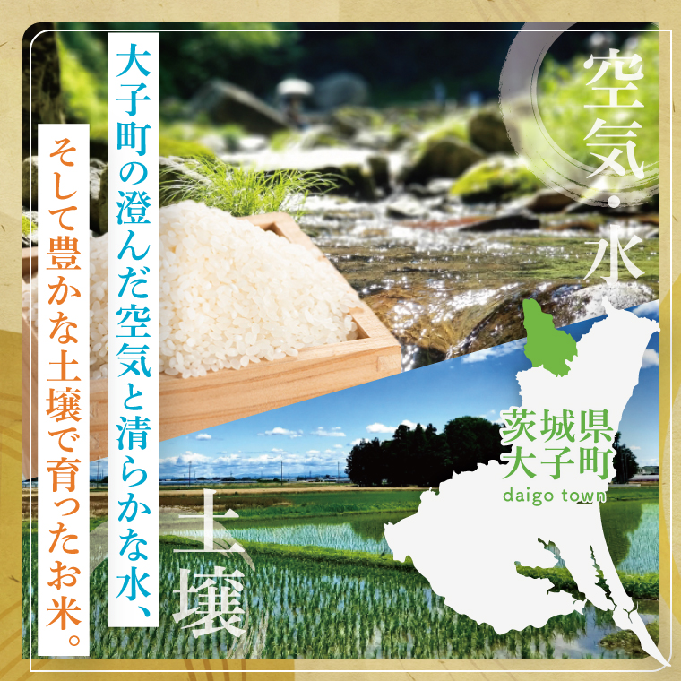 令和7年産 立神米こしひかり（白米）10kg | 茨城県 大子町 コシヒカリ 米 コンテスト 受賞 生産者 大子産米 産地直送 もちもち グランプリ（BT068）