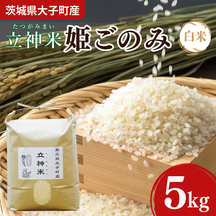 【新米】令和7年産 立神米「姫ごのみ」（白米）5kg｜茨城県 大子町 コシヒカリ 米 コンテスト 受賞 生産者 大子産米 産地直送（BT045-1）
