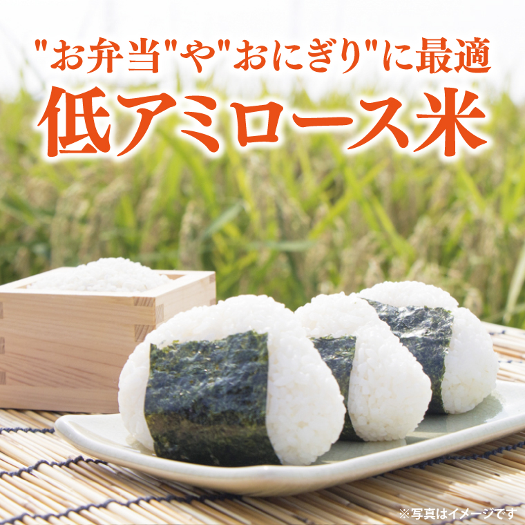 令和7年産 立神米「姫ごのみ」（白米）5kg｜茨城県 大子町 コシヒカリ 米 コンテスト 受賞 生産者 大子産米 産地直送（BT045-1）