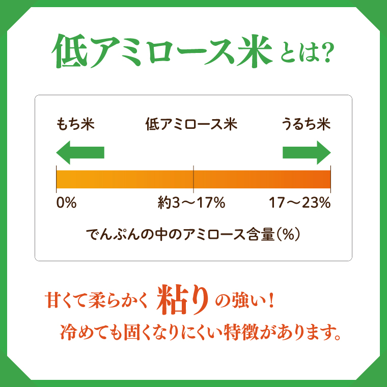 【新米】令和7年産 立神米「姫ごのみ」（白米）10kg｜茨城県 大子町 コシヒカリ 米 コンテスト 受賞 生産者 大子産米 産地直送（BT046-1）