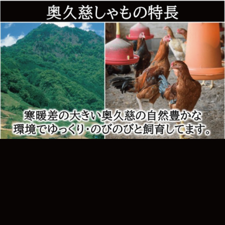 【5ヶ月定期便】奥久慈しゃも肉（正肉スライス・唐揚げ用・ササミ）（AR005）