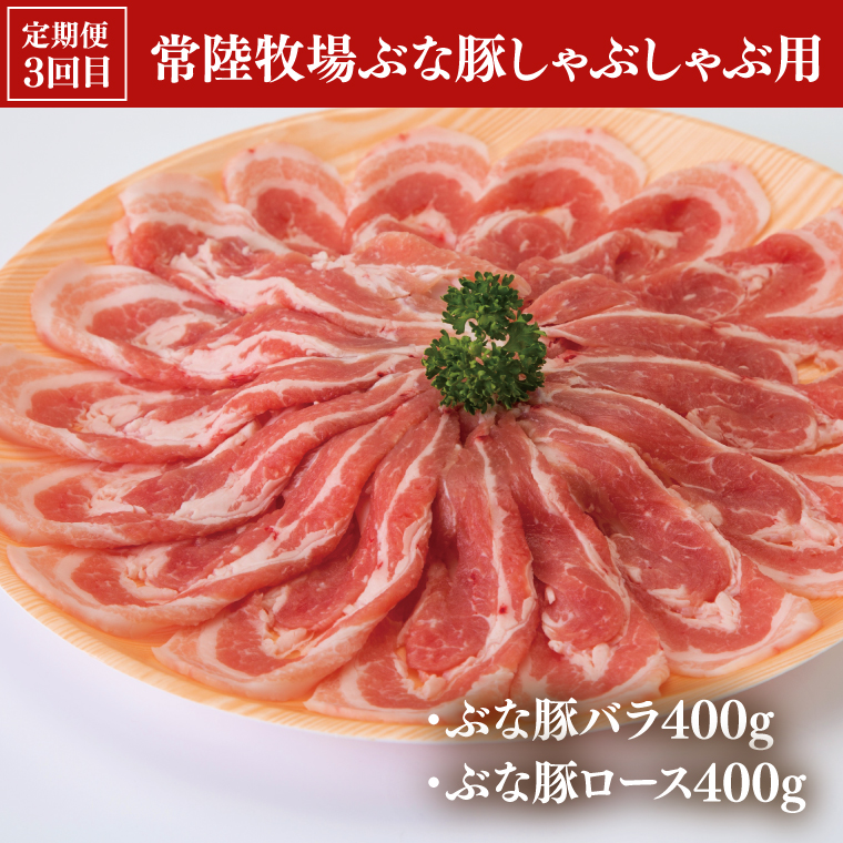 【3ヶ月定期便】大子町のお肉味わいセット 常陸牛(茨城県共通返礼品)・奥久慈しゃも肉・ぶな豚（ZZ002）