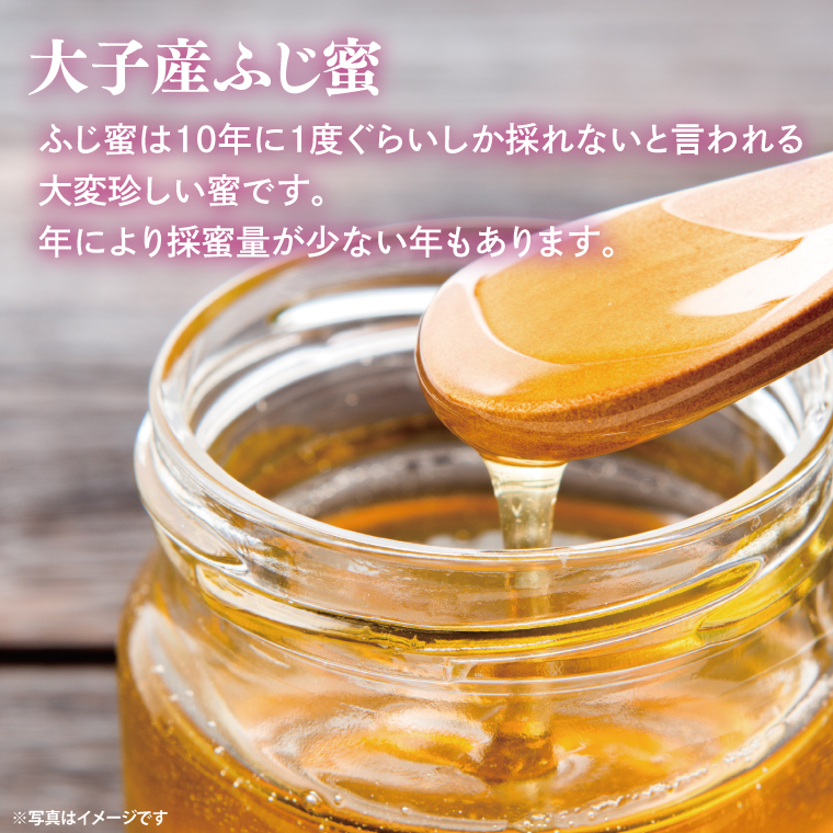 【2025年10月～2026年4月発送】天然はちみつ【大子のふじ蜜 120g×3本セット】|茨城県 大子町 奥久慈 ハチミツ 蜂蜜 プレゼント 包装（BG002）