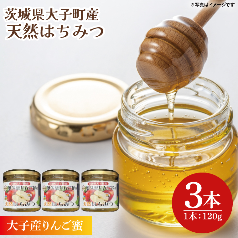 【2025年10月～2026年4月発送】天然はちみつ【大子のりんご蜜 120g×3本セット】|茨城県 大子町 奥久慈 ハチミツ 蜂蜜 プレゼント 包装(BG003)