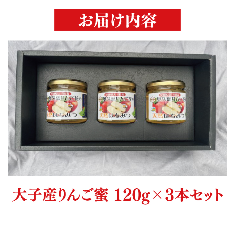 【2025年10月～2026年4月発送】天然はちみつ【大子のりんご蜜 120g×3本セット】|茨城県 大子町 奥久慈 ハチミツ 蜂蜜 プレゼント 包装(BG003)
