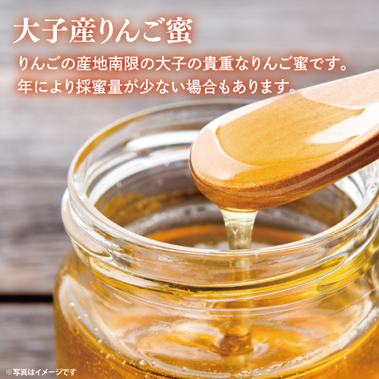 【2025年10月～2026年4月発送】天然はちみつ【大子のりんご蜜 120g×3本セット】|茨城県 大子町 奥久慈 ハチミツ 蜂蜜 プレゼント 包装(BG003)