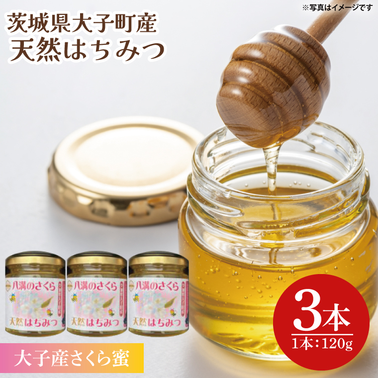 【2025年10月～2026年4月発送】天然はちみつ【大子のさくら蜜 120g×3本セット】|茨城県 大子町 奥久慈 ハチミツ 蜂蜜 プレゼント 包装(BG004)