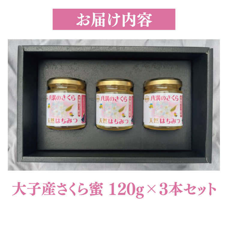 【2025年10月～2026年4月発送】天然はちみつ【大子のさくら蜜 120g×3本セット】|茨城県 大子町 奥久慈 ハチミツ 蜂蜜 プレゼント 包装(BG004)