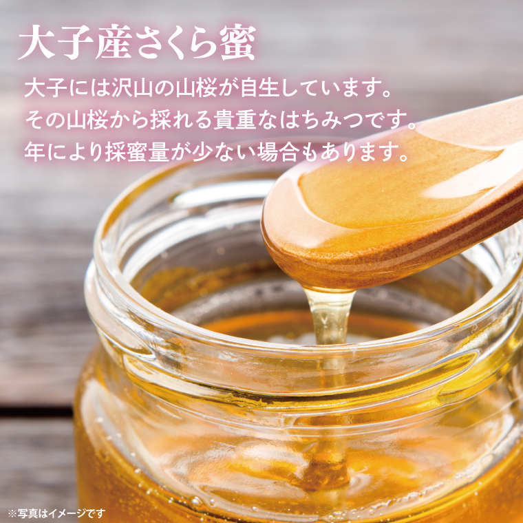 【2025年10月～2026年4月発送】天然はちみつ【大子のさくら蜜 120g×3本セット】|茨城県 大子町 奥久慈 ハチミツ 蜂蜜 プレゼント 包装(BG004)
