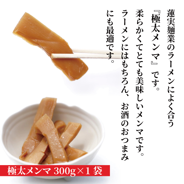 蓮実麺業が作った自分の食べたい生ラーメンセット　極太メンマ300g付き 麺類 ラーメン（AW014）