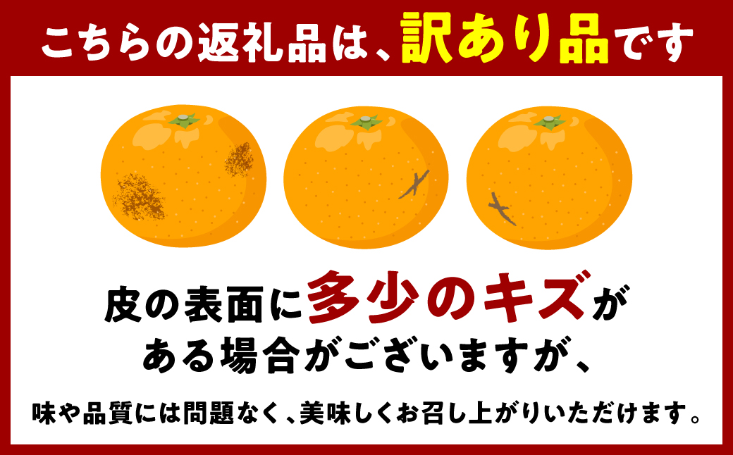 熊本県八代市のふるさと納税 【先行予約】 ＜訳あり＞ 紅八朔 ご家庭用 約10kg 柑橘 かんきつ 果物 くだもの フルーツ べにはっさく 熊本県 八代市 【2026年2月上旬より順次発送】