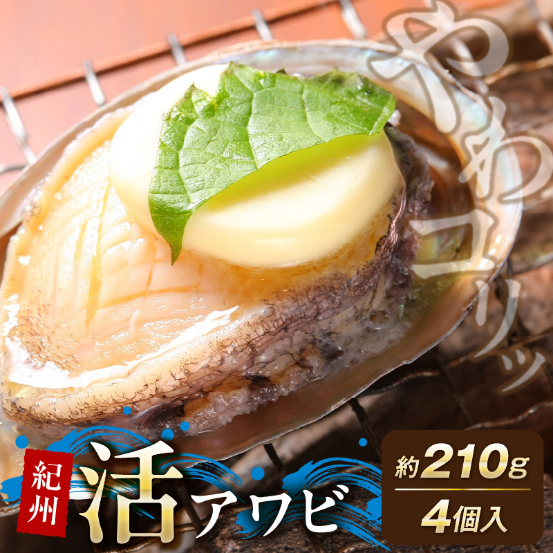 ZG6100_Y_【直営限定】やわコリ食感 紀州活アワビ 【4個入】 約210g