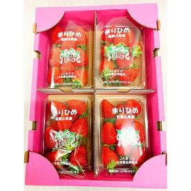 G7346_紀州和歌山ブランド いちご まりひめ 250g×4P