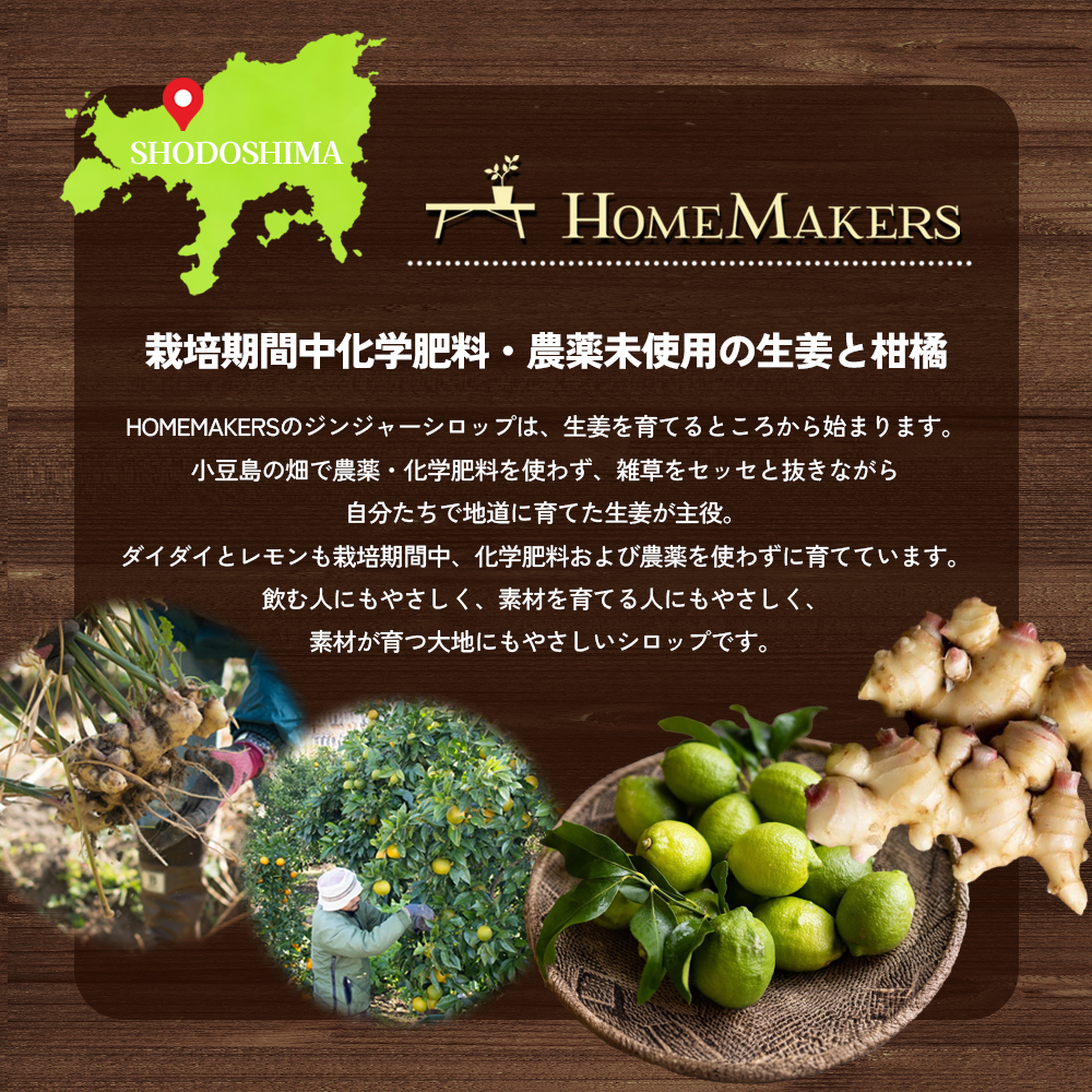 予約商品【 小豆島 】小豆島ジンジャー&ダイダイレモンシロップ3本セット ミニ お試し 飲料 飲み物 ドリンク シロップ ギフト 贈り物 香川 香川県 土庄 土庄町