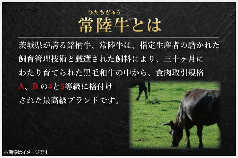 常陸牛100％ ハンバーグ 約120g×6個 【牛肉 国産牛 黒毛和牛 和牛 国産黒毛和牛 ブランド牛肉 ブランド牛 お肉 A4ランク A5ランク 鹿嶋市 鹿嶋 茨城県】(KCW-9)