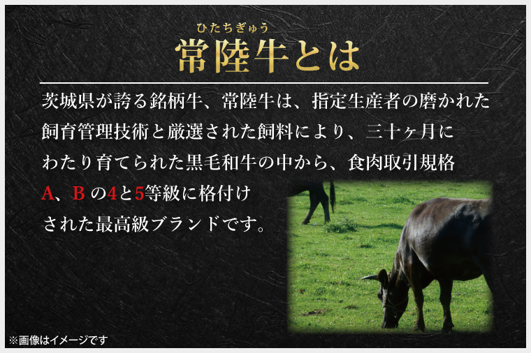 常陸牛100％ vs 常陸牛入りハンバーグの食べ比べセット（10個入り）【牛肉 国産牛 黒毛和牛 和牛 国産黒毛和牛 ブランド牛肉 ブランド牛 お肉 A4ランク A5ランク 鹿嶋市 鹿嶋 茨城県】 (KCW-11)
