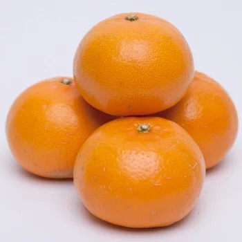 ＜2月より発送＞厳選 せとか1kg+250g（傷み補償分）◇｜柑橘・春みかんの王様【光センサー選果・食べ頃出荷】※北海道・沖縄・離島への配送 ※2026年2月中旬～3月下旬頃に順次発送予定